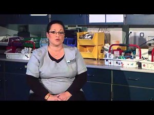 Terre Haute Regional Hospital Becomes First to Install the ORTHO VISION(TM) Analyzer