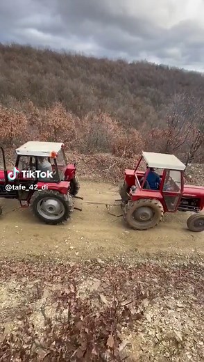 😉👑#Tafe42di💪👑#fyp #viraltiktok #viralvideos #Tafe42di #imt539deluxe #fakesituation⚠️ #fyp #2024 #tredding #viralllllll #viral #fyp #fyp #viralllllll #