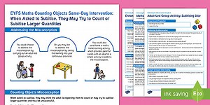 EYFS Maths Counting Objects Same-Day Intervention Plan: When Asked to Subitise, They May Try to Count or Subitise Larger Quantities