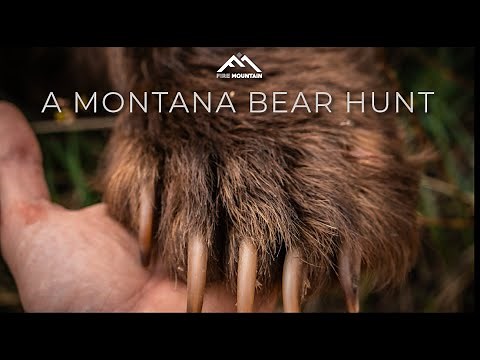 Spring Bear Hunting | A Montana Bear Hunt