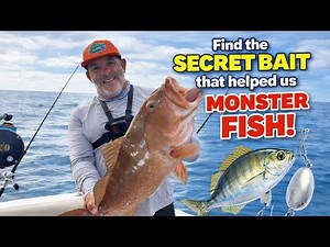 Secret Bait Crushes Red Snapper & Red Grouper | Gulf of America Fishing