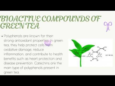 EXTRACTION OF GREEN TEA