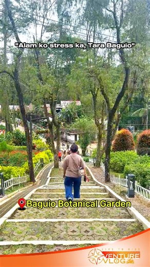 Baguio is waving ❤️ 📍 Baguio Botanical Garden - Baguio City Entrance Fee: Adult & Children 13 yrs old and above: 100 pesos/head Senior Citizen/PWD: 80 pesos/head Children 12 yrs old and below: 25 pesos/head #Baguio #baguiocity #travel #fblifestyle | Venture Vlog
