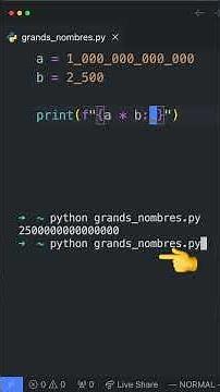Astuces pour afficher des grands nombres en Python