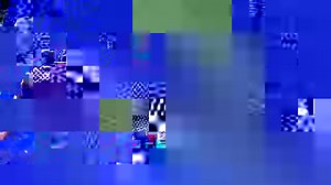 3.5K views · 142 reactions | It’s giant Pacific octopus time! Check out our live cams daily from 10am to 4pm, made possible with generous support from @bankofamerica! https://bronxzoo.com/virtual-zoo/live-cams | New York Aquarium | Facebook