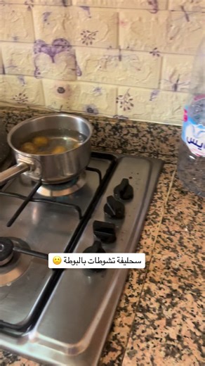 حضيو مع مشاشكم ههههه كيديرو غا كوارت هههههه #fypシ゚ #fyp #cutecat #mycats #foryoupage
