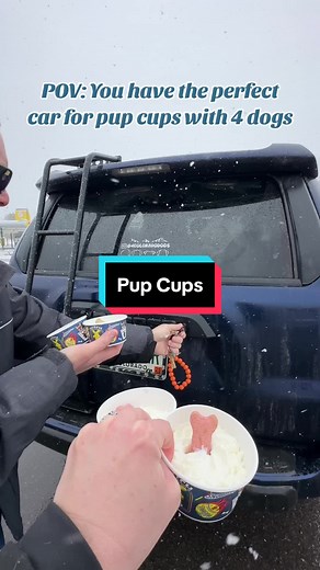 The 4Runner is perfect for pup cups. The dogs agree! Plus watching them poke their heads out is the best! #pupcup #puppachino #dutchbros #toyota #4runner #doglife #dogsoftiktok #doglove #lifewithdogs #toyota4runner #dogsincars @Dutch Bros Coffee