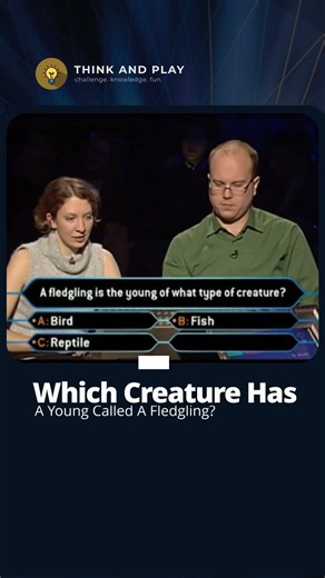 Which Creature Has A Young Called A Fledgling?🤔🐾 #quiz #millionaire #trivia #didyouknow #animals #tv
