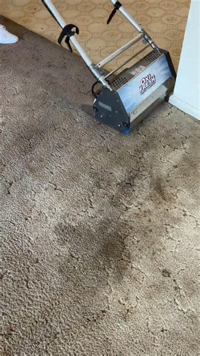 Encapsulation carpet cleaning with 1-hour dry time #oxifresh #carpetcleaning #vlm