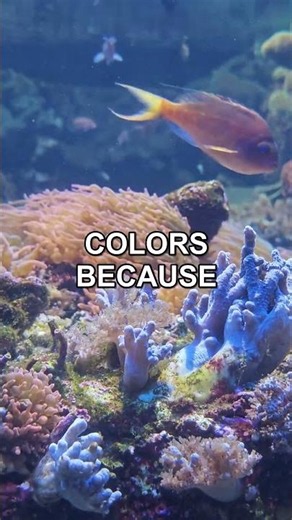 16 TYPES OF COLOR