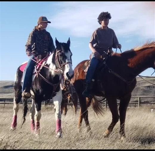 Kat😝🐎 (@battle_born_kat)’s videos with Wildflowers and Wild Horses - Single Version - Lainey Wilson
