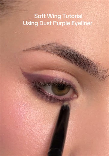 Soft Wing Eyeliner Makeup Tutorial with Dust Purple