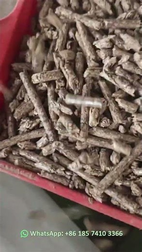 Pellet Machine Running – High-Grade Pellet Production