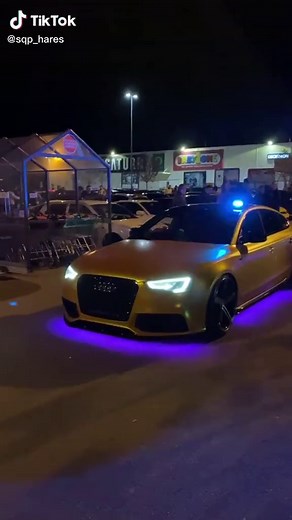 Blau Licht Polizei Cars in Deutschrap Video