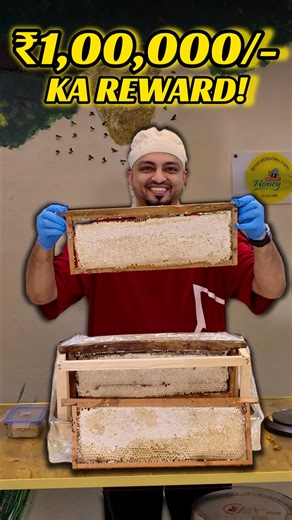Mohammed Bin Ishaq on Instagram: "100% PURE or ₹1,00,000 ka Reward! 😱🤑💰🐝 🍯Bharat Honey ka challenge hai apke liye! Explore premium varieties: 🌼 Kashmir Honey 🌿 Sidr 🌾 Ajwain 🌸 Multiflora 🍇 Jamun …and many more! Walk-in & taste before you buy 😍 Plus find: 🍯 Honeycombs | 🐝 Bee Pollen | 🕯 Bee Wax | 👑 Royal Jelly 🛒 Order Online: bharathoney.com 📍 Address: Beside Orc