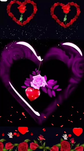 Romantic Heart and Rose Visuals for Every Special Day