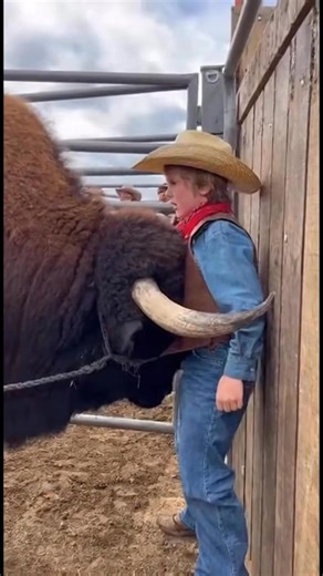 Don’t move an eyelash boy’ #buffalo #rodeo #cowboy #country #western | Nikki Skyes