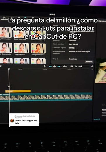 Cómo Descargar Luts para CapCut en PC: Tutorial Básico