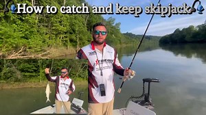 🎣 KEEPING THE UNKEEPABLE ALIVE — SKIPJACK FINALLY SOLVED 🎣 Join Captain Preston Cleary of Cleary Kentucky Fishing, professional guide on Dale Hollow Lake, Tennessee, as he targets one of the most coveted — and most difficult — baits in river fishing: Skipjack Herring. Skipjack are the gold standard bait for trophy striped bass in Tennessee rivers. Their speed, flash, and scent are unmatched — but until now, no one has been able to keep them alive in captivity. Their hyper nature causes them to