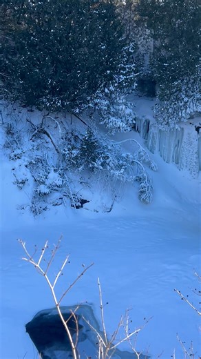 Brigitte Tessier Labby on Reels