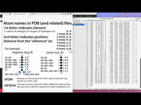 Basic nomenclature of atom identifiers for proteins in PDB (and related) files