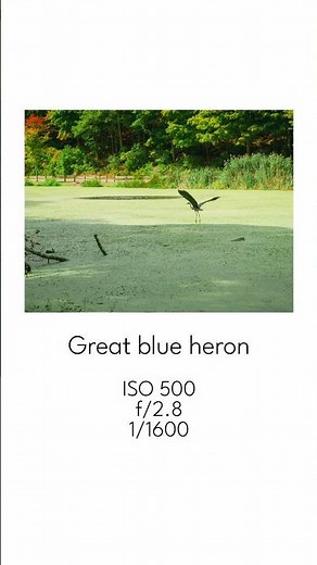 The Olympus E-M1 Mark II takes stunning images of nature. #photography #em1markii #olympus