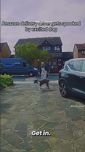 Dogs Vs Delivery Men – Funniest Chases Caught on Camera!