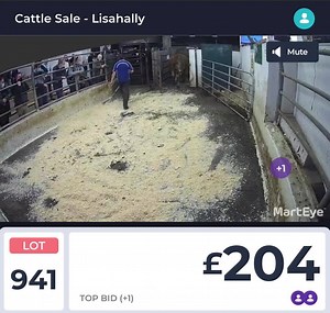 LIVE from Lisahally Mart for the evening https://beattie.marteye.ie/auctions/ol1oRE2pXvHspxlE9hDX | MartEye