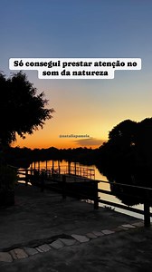Pantanal Matogrossense #brasil | Natalia Pamela