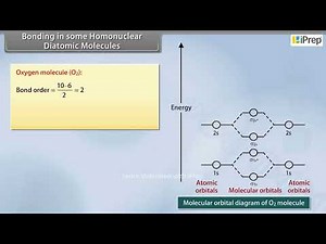 Bonding in Some Homonuclear Diatomic Molecules | Chemistry | Class 11th | iPrep