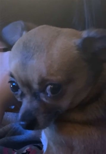 Binky: The Unexpected Oscar Winner Spotlight