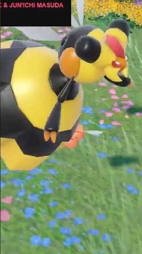 Shiny Combee Caught in Pokémon Violet! 🐝💛