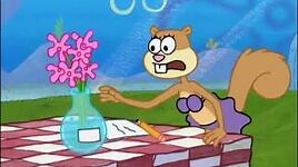 SpongeBob SquarePants - Flowers for Sandy