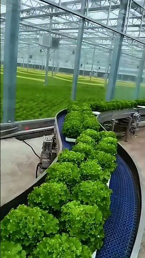 Future Farming Powered by Science 🌱 Smart Agriculture Revolution