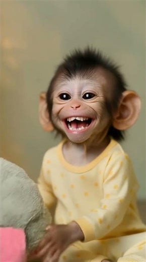 monkey opens a Christmas present