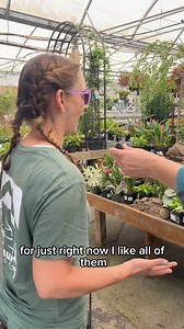 18K views · 99 reactions | Choosing a favourite plant is like picking a favourite child—impossible! Curious to see which plants are stealing the spotlight? Keep watching. | Art's Nursery Ltd. | Facebook