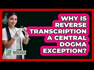 Why Is Reverse Transcription A Central Dogma Exception?