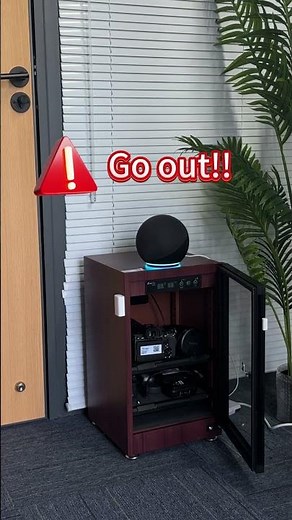 SONOFF SNZB 04P&Alexa trigger custom voice #sonoff