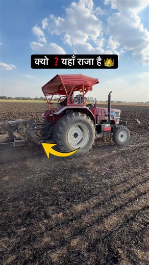 “Mahindra Novo 605 CRDI” 🚜🔥 Live Field Power Test | King of Plough 👑 #mahindratractor