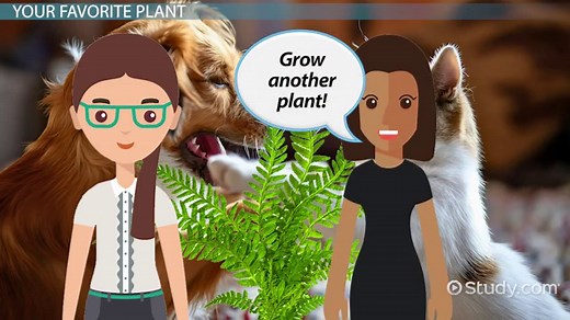 You must c C reate an account to continue watching