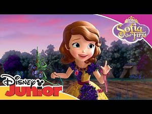 Sofia the First 👑| The Crown of Blossoms | Official Disney Channel Africa