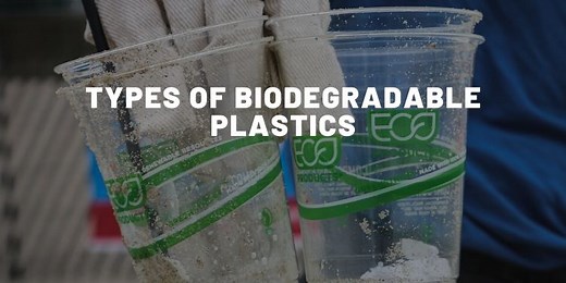 5 Types Of Biodegradable Plastics In 2026 - Almost Zero Waste
