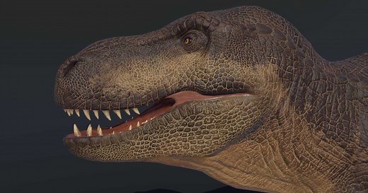 Dinosaur T-Rex | Characters | Unity Asset Store