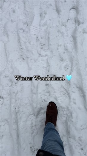 Experience the Beauty of a German Winter Wonderland