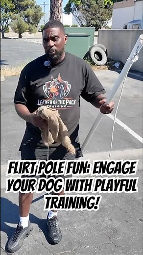 Flirt Pole Fun: Engage Your Dog with Playful Training! with @HeRoseKennels & @LOTPDogTraining