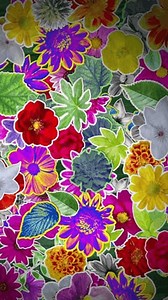 A collage of realistic themed stickers that roll out as if being stuck into place over a rustic background.