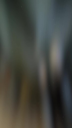 cái gi cũng đã từng... #xuhuong #xuhuongtiktok #fyp #zxycba #click150i #daisucctt #CapCut