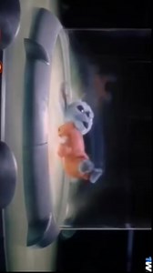 Copyright | Viktor Hugo Nav