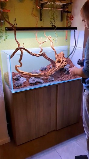 SuperSize_AquaScaping on Instagram: "*🪵🪨Part 4 scaping🪨🪵* This is my first scaping project. Absolutely new territory for me. How do you like it? What do you say about the structure? I like it very much, but since I am very self-critical, I still have doubts here and there 😅. I'm really looking forward to your opinions 😃 tank : @amazonasbecken.eu light : @ledaquaristik.de ground : @jbl.de Follow for more @supersize_aquascaping Follow for more @supersize_aquascaping 🇩🇪 Dies ist mein erstes