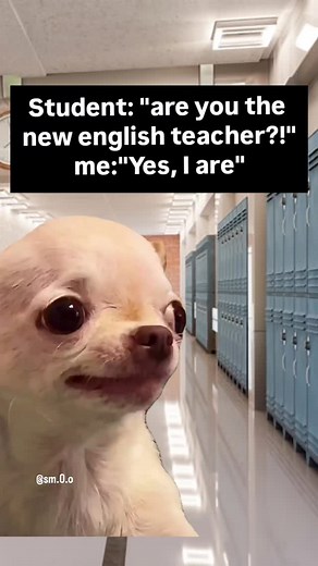 😂🤣Follow this page for more evil and hilarious memes and join the future global meme empire, before it’s too late and this page is hot and famous 😈😂 Evil Dog Merch in my Bio!⭐ #evildog #relatable #diabolical #memes #school #teacher #student #funnydog #chihuahua | EvilDog Shamsy